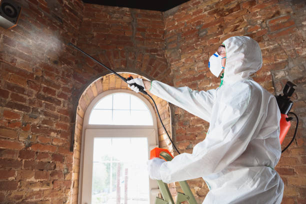 Best Asbestos and Lead Testing During Mold Inspection in Vaughn, WA