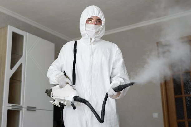 Best Environmental Consulting for Mold Prevention in Vaughn, WA